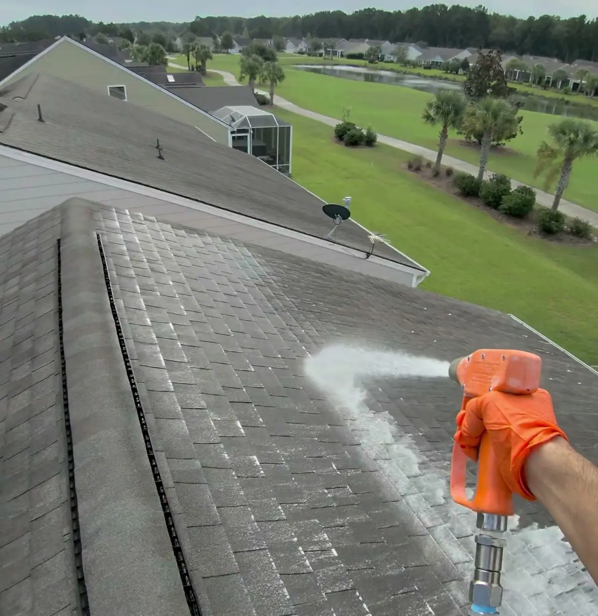 Soft wash mix going onto an asphalt shingle roof ridge above a golf course with palms and a lagoon